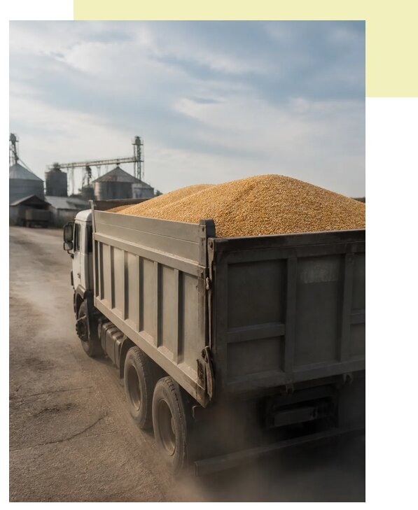 Перевозка сельхозпродукции навалом в Кунгур по цене от 3077 р. | Агросервис-Кнг