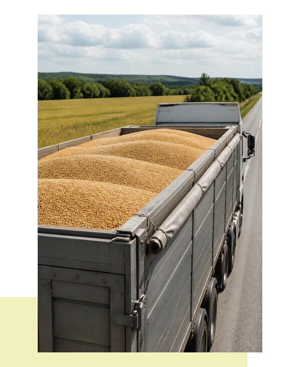 Перевозка ячменя автомобильным транспортом в Кунгур